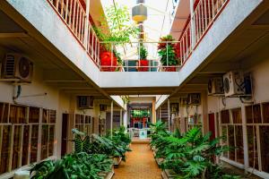 un pasillo de un edificio con macetas en Hotel Tame Real, en Tame