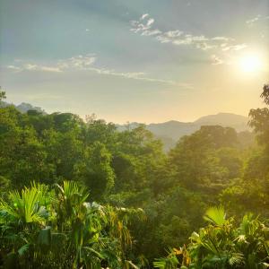 a view of a jungle with the sun in the background at Habitación privada in Santa Marta