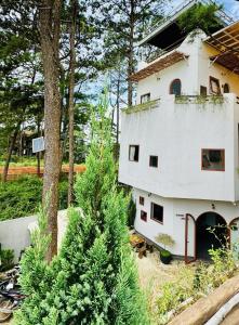 Kon Von KlaにあるDecember Homestay & Coffee Măng Đen - only Vietnamese Guestの建物前の木々のある家
