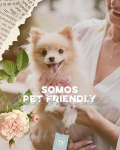 a woman holding a small dog in her hands at Doce Canela - Pousada de Charme in Canela