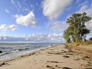 GarzにあるGutshaus Zicker in Garzの曇りの日の水と木々が咲く海岸