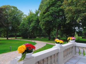 GarzにあるGutshaus Zicker in Garzの公園の白いフェンスに置かれた2つの鉢植えの花 +11枚の写真