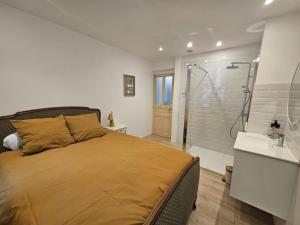 a bedroom with a large bed and a shower at Maison de ville rénovée avec garage privatif à Épinal - FR-1-589-834 in Épinal +15 photos