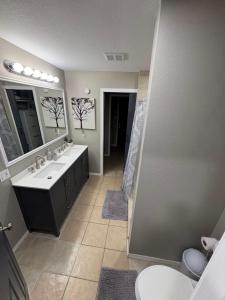 a bathroom with a sink and a mirror and a toilet at 1 BR 1 Bath Airport SpaceX LNG WashDry Yard Patio Pets in Brownsville +6 photos