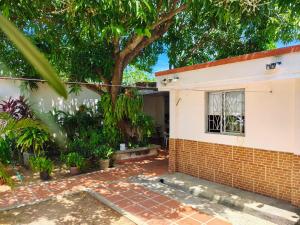 una casa de ladrillo con un árbol y una ventana en Casa Fenix, en Dibulla