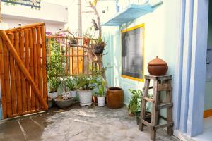 Taman di luar Homestay Ông Bà Tám Làng Lò