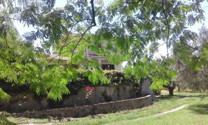 Taman di luar Deliziosa Villa Panoramica