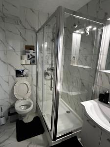 a bathroom with a shower and a toilet and a sink at Cabana Boema in Rausor +9 photos