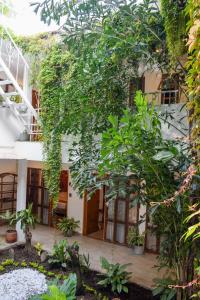 a building with a bunch of trees in front of it at Muguet House Granada in Cali