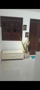 een doos op een tafel met een potplant bij BJLAPA Residence in Bom Jesus da Lapa
