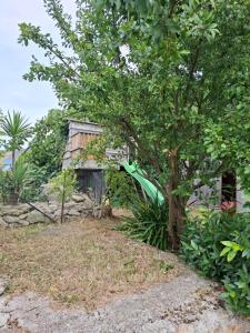 una vecchia casa con un albero di fronte di Le petit saint Germain a Digosville