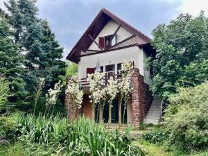 En have udenfor Vadrózsa kertkapcsolatos apartman