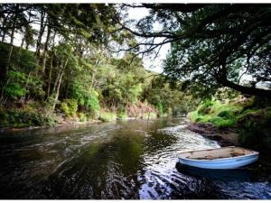 Gallery image of River Ridge - Catlins 