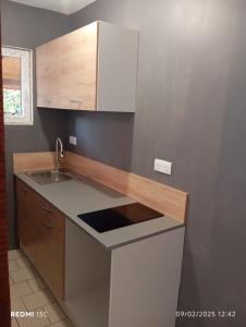 a kitchen with a sink and a counter top at Chambre lit double, Salon, cuisine, jardin in Couze-et-Saint-Front