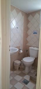 a bathroom with a toilet and a sink at Lemi Apartments in Rizá