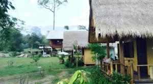 Zahrada ubytování Chiang Dao Hut
