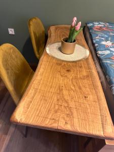 Foto dalla galleria di My Star Apartment a Maribor