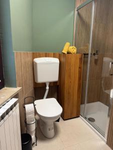a bathroom with a toilet and a shower at My Star Apartment in Maribor