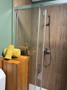 Foto dalla galleria di My Star Apartment a Maribor