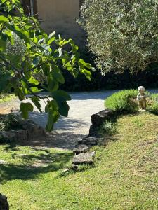 Κήπος έξω από το Villa Hélène in the heart of the center of Fontaine de Vaucluse +56 φωτογραφίες