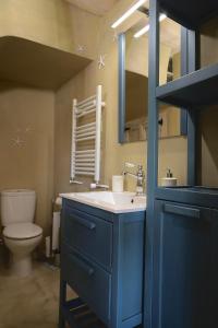 a bathroom with a blue sink and a toilet at Miradorio Rural Boutique Apto Tussio in Ruiloba