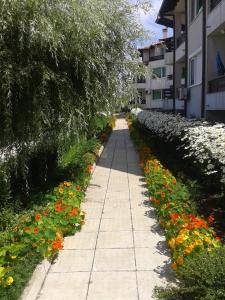 キテンにあるCaprice Apartment in Lozenecの花の歩道