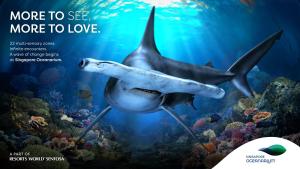 ein Poster mit einem Hai, der im Ozean schwimmt in der Unterkunft Resorts World Sentosa - Hotel Ora in Singapur