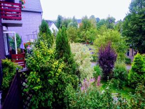 Zahrada ubytování Vibrant Apartment in Willingen with Private Terrace