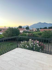 Příroda nedaleko vily