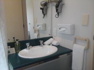 a bathroom with a sink and a mirror at South Park Motel in Masterton +45 photos