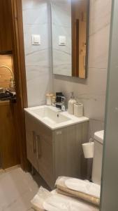 a bathroom with a sink and a mirror and a toilet at Central studio D1 Volos in Volos +25 photos
