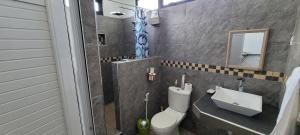 a bathroom with a toilet and a sink at Crater Serenity Studio in Curepipe