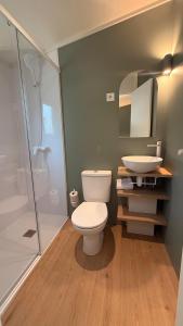 a bathroom with a toilet and a sink and a shower at Bungalows Conca De Ter in Vilallonga de Ter +47 photos