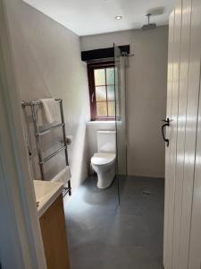 a bathroom with a toilet and a window at Cornflower in Saundersfoot +10 photos