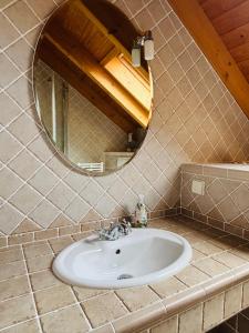 a bathroom with a sink and a mirror at Casa Armonia Halle- Ruhige Ferienwohnung am Pestalozzipark und Gesundbrunnen in Halle an der Saale +7 photos