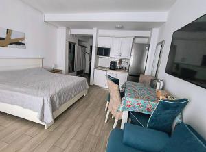 TV a/nebo společenská místnost v ubytování Platinium house