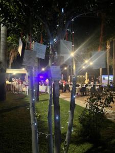a group of trees lit up at night with lights at Hotel ausonia in Corigliano Calabro +30 photos