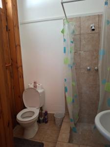 a bathroom with a toilet and a shower curtain at Ruitersrust in Fauresmith