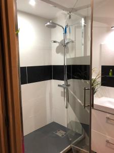 a shower with a glass door in a bathroom at La Gentilhommière - Chambre avec sauna et jaccuzzi in Saint-Roch