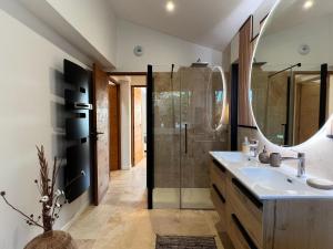 a bathroom with a shower and a sink and a mirror at Le Moulin in Aix-en-Provence