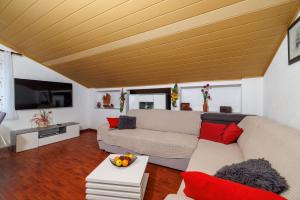 a living room with a couch and a tv at Apartments Albina in Lopar