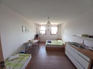 a kitchen with a sink and a room with two beds at Studio na horách in Cerny Dul
