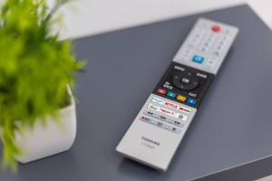 a remote control sitting on a table next to a potted plant at Estudio barrio Patraix - cerca del Centro in Valencia
