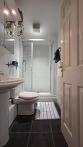 a bathroom with a shower and a toilet and a sink at Shrubbery - Balcony Apartment in High Wycombe
