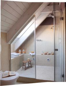 a bathroom with a shower and a toilet at Magnifico duplex en centro Viella in Vielha