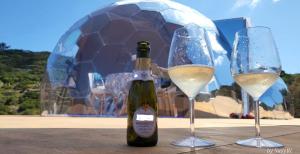 a bottle of wine and two glasses on a table at Palmaria Sky Bubbles Room in Ponza