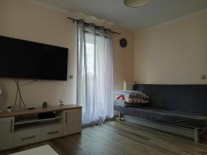 ワルシャワにあるOdkryta Warszawa! - prywatne mieszkanie, samodzielne zameldowanie, private studio balcony, free wifi, smart tv 55", parking, self check in - Warsaw Northのソファと薄型テレビのあるリビングルーム