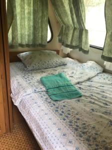 Postel nebo postele na pokoji v ubytování Guest House Ulaj
