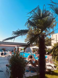 Bazén v ubytování Green Hotel ANG nebo v jeho okolí