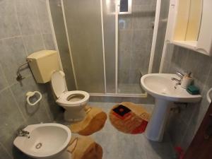 a bathroom with a toilet and a sink and a shower at Moradia Maria Do Ceu in Vieira de Leiria +7 photos
